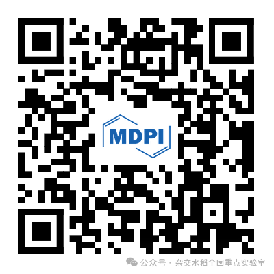 88888.png 88888.png